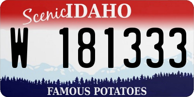 ID license plate W181333