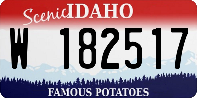 ID license plate W182517