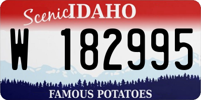 ID license plate W182995
