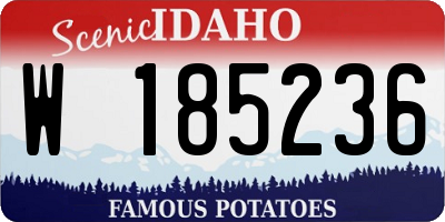 ID license plate W185236