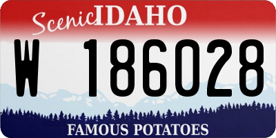 ID license plate W186028