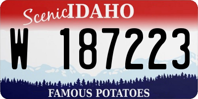 ID license plate W187223