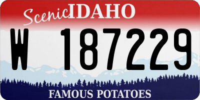 ID license plate W187229