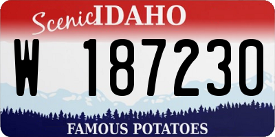 ID license plate W187230