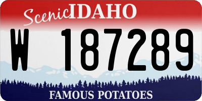 ID license plate W187289