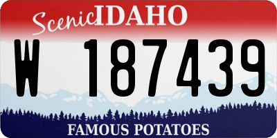 ID license plate W187439