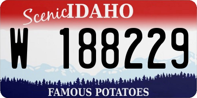 ID license plate W188229