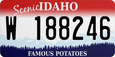 ID license plate W188246