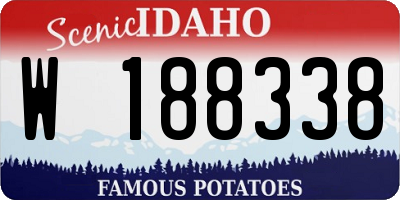 ID license plate W188338