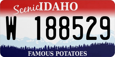 ID license plate W188529