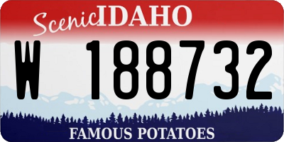 ID license plate W188732