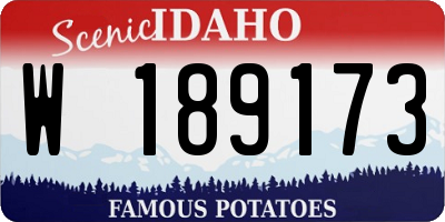 ID license plate W189173