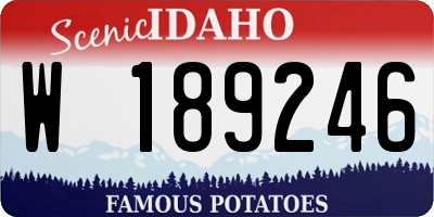ID license plate W189246