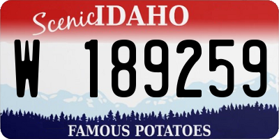 ID license plate W189259