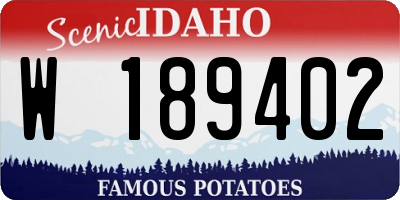ID license plate W189402