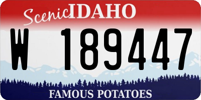 ID license plate W189447