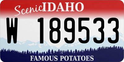 ID license plate W189533