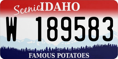 ID license plate W189583