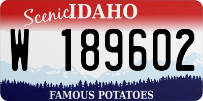 ID license plate W189602