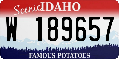 ID license plate W189657