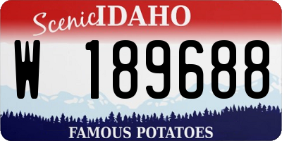 ID license plate W189688