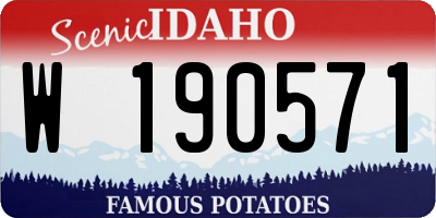 ID license plate W190571