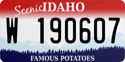 ID license plate W190607