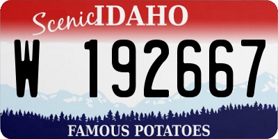 ID license plate W192667