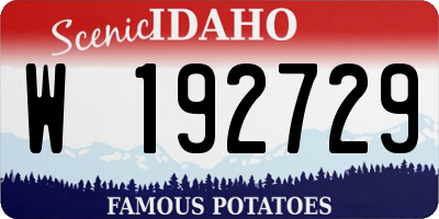 ID license plate W192729