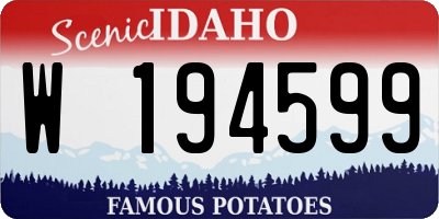 ID license plate W194599