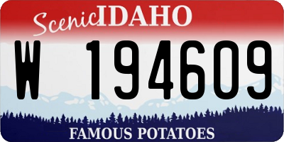 ID license plate W194609