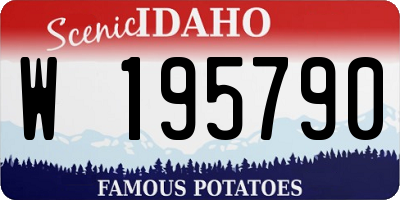 ID license plate W195790