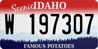 ID license plate W197307