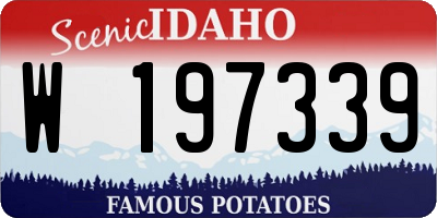 ID license plate W197339