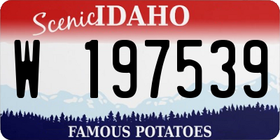 ID license plate W197539