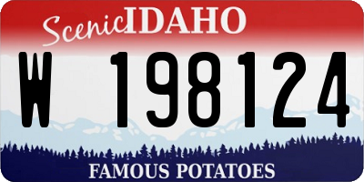 ID license plate W198124