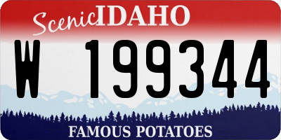 ID license plate W199344