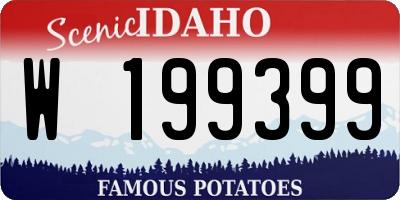 ID license plate W199399