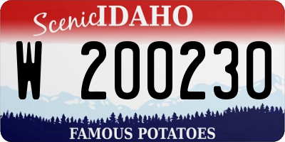 ID license plate W200230