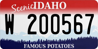 ID license plate W200567