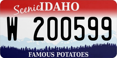 ID license plate W200599