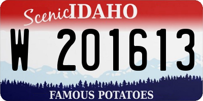 ID license plate W201613