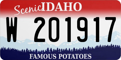 ID license plate W201917