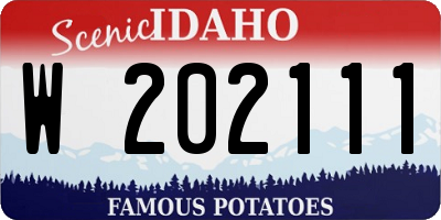 ID license plate W202111