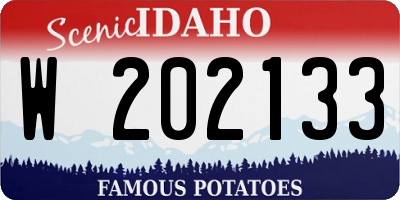 ID license plate W202133