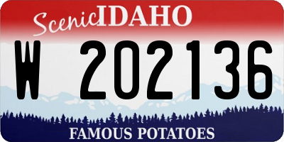 ID license plate W202136