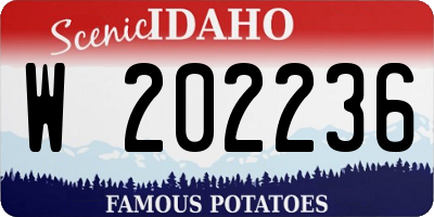 ID license plate W202236