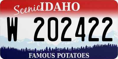 ID license plate W202422
