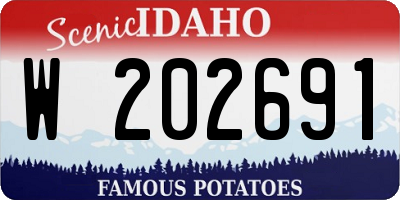 ID license plate W202691