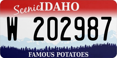 ID license plate W202987